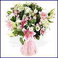 wpd6d65955.jpg